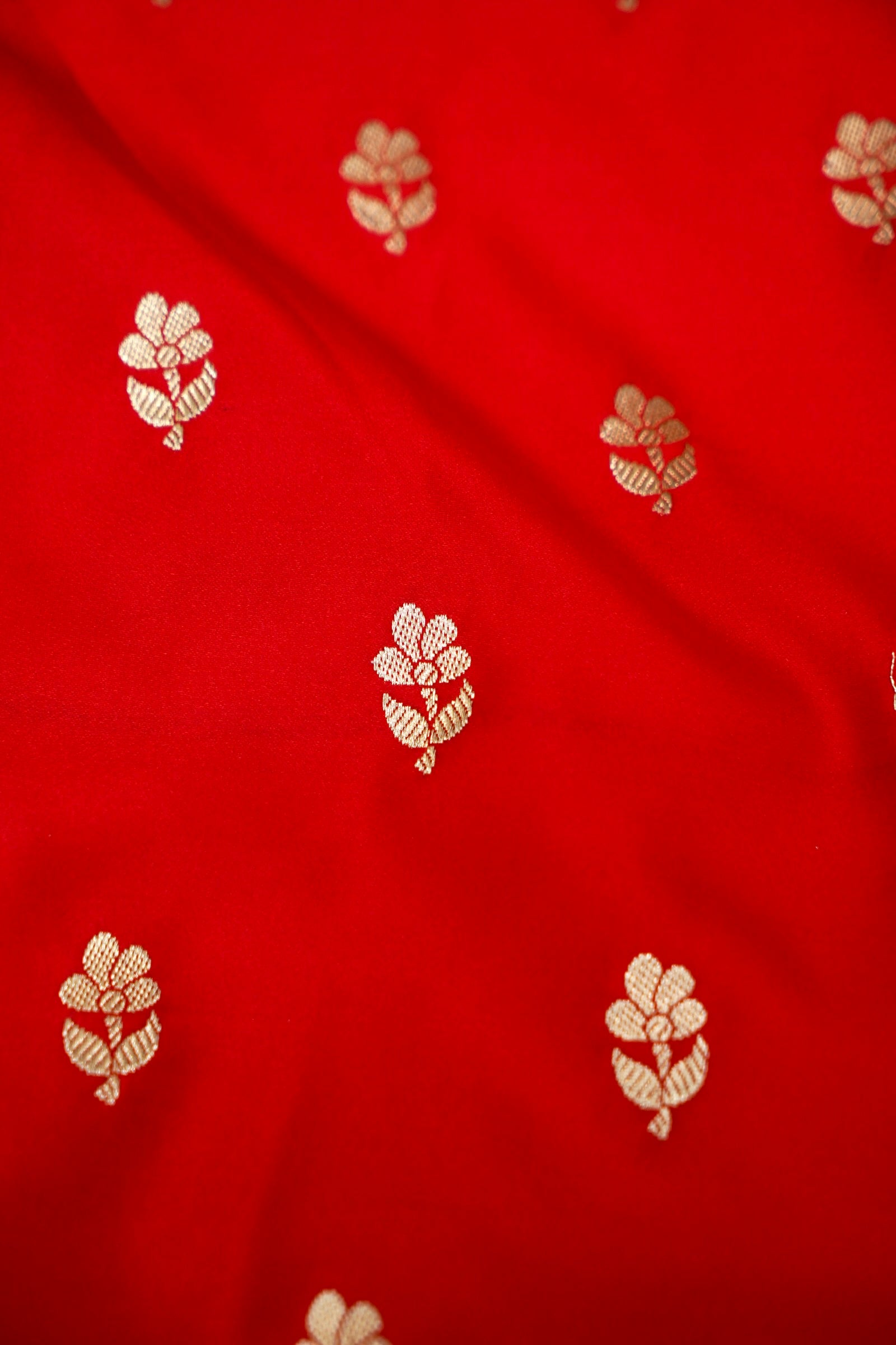RANI RED BANARASI MASHRU KATAN SILK SAREE (ELEPHANT BORDER)