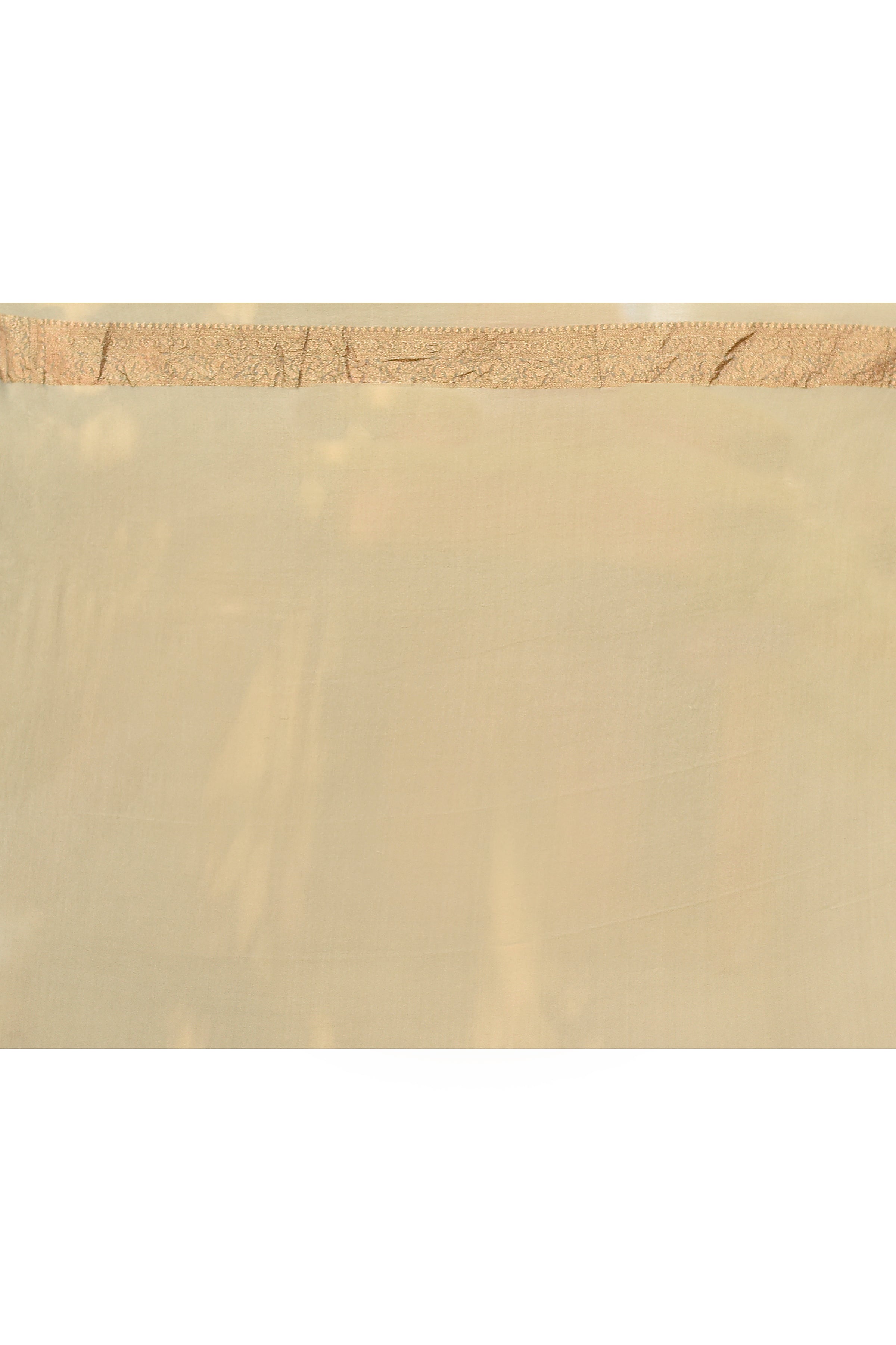 Pastel Green Banarasi Crepe Silk Saree