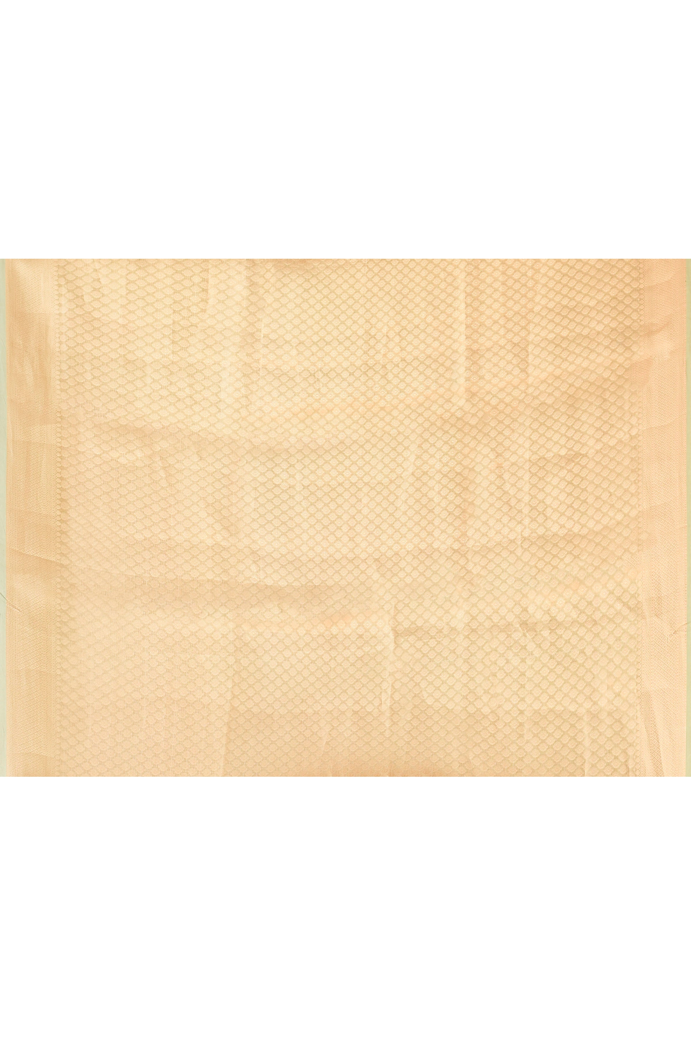 Light Green Plain Tissue Silk Saree with Elegant Traditional Zari Border