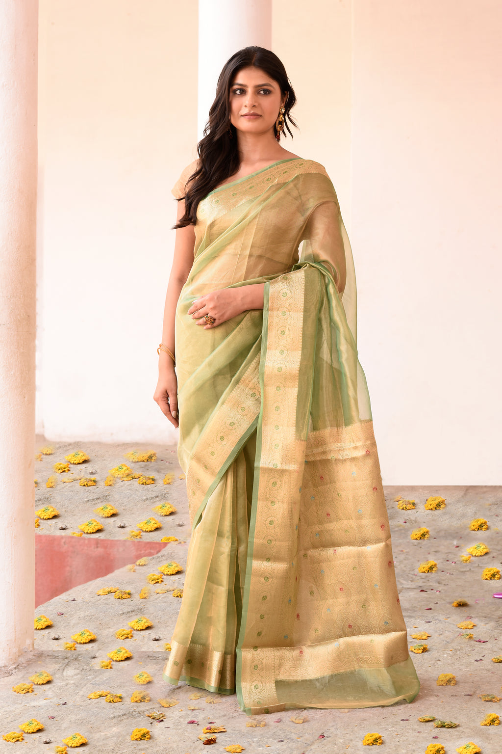 Light Green Plain Tissue Silk Saree with Elegant Traditional Zari Border