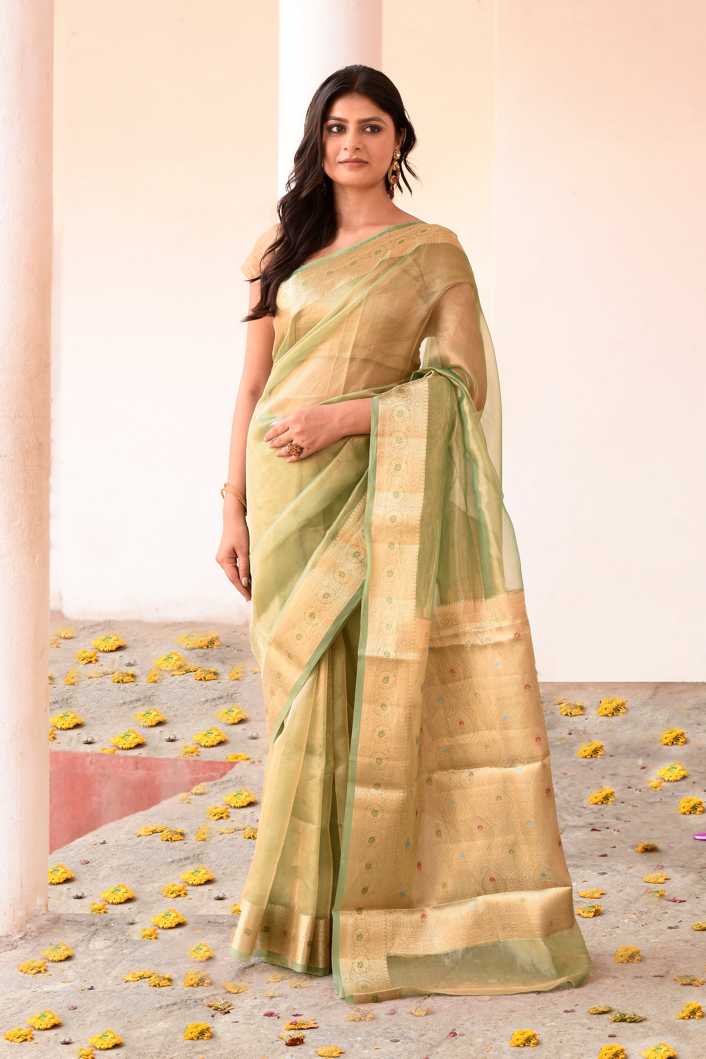 Light Green Plain Tissue Silk Saree with Elegant Traditional Zari Border