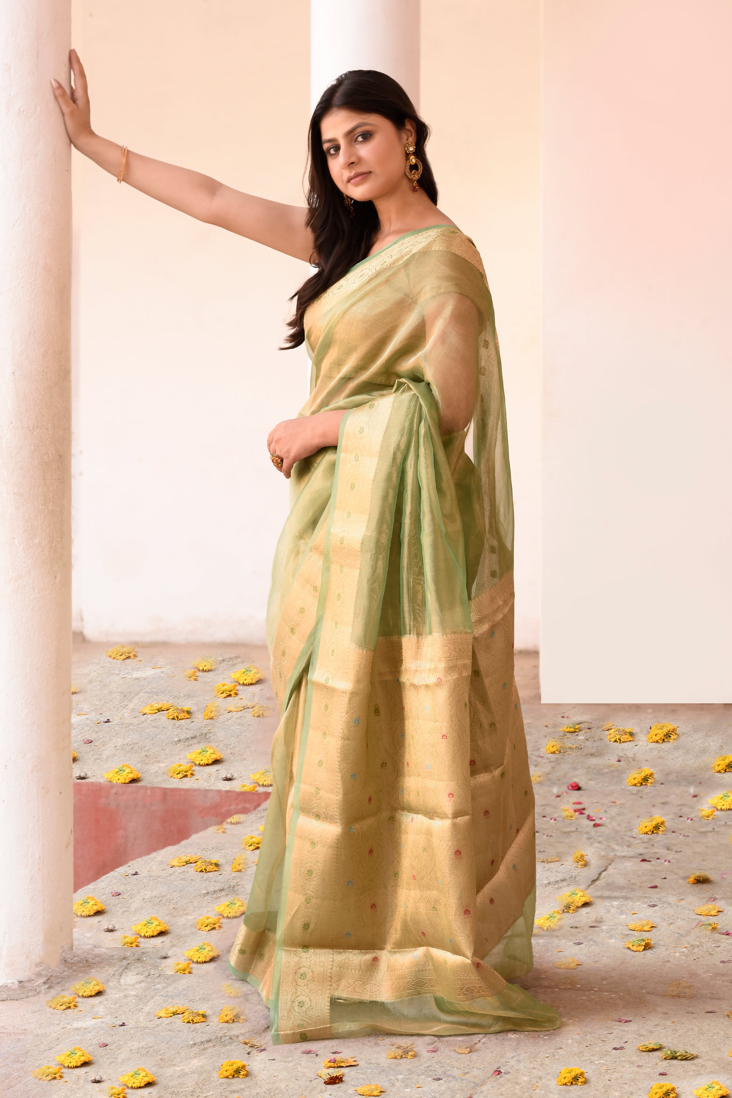 Light Green Plain Tissue Silk Saree with Elegant Traditional Zari Border