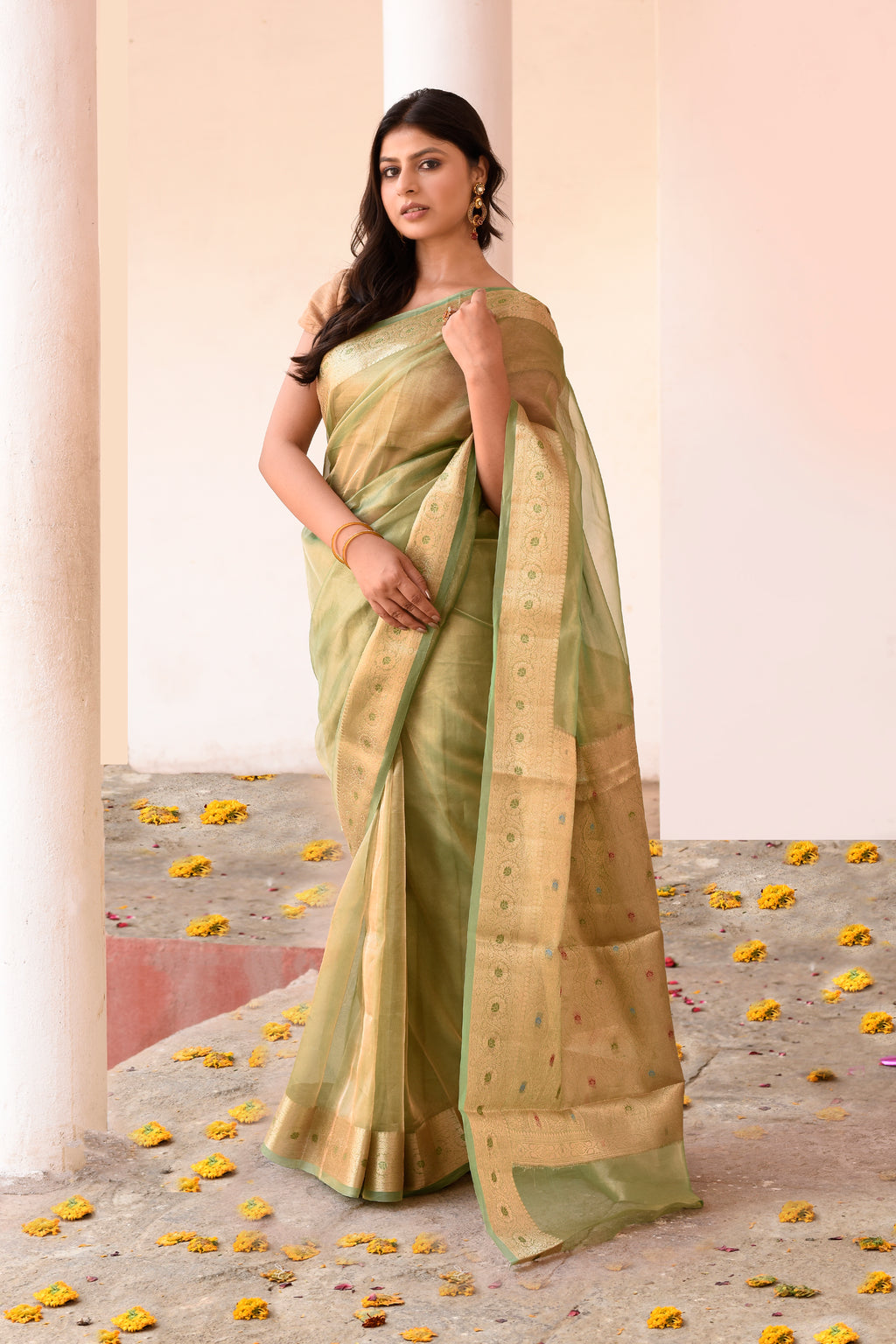 Light Green Plain Tissue Silk Saree with Elegant Traditional Zari Border