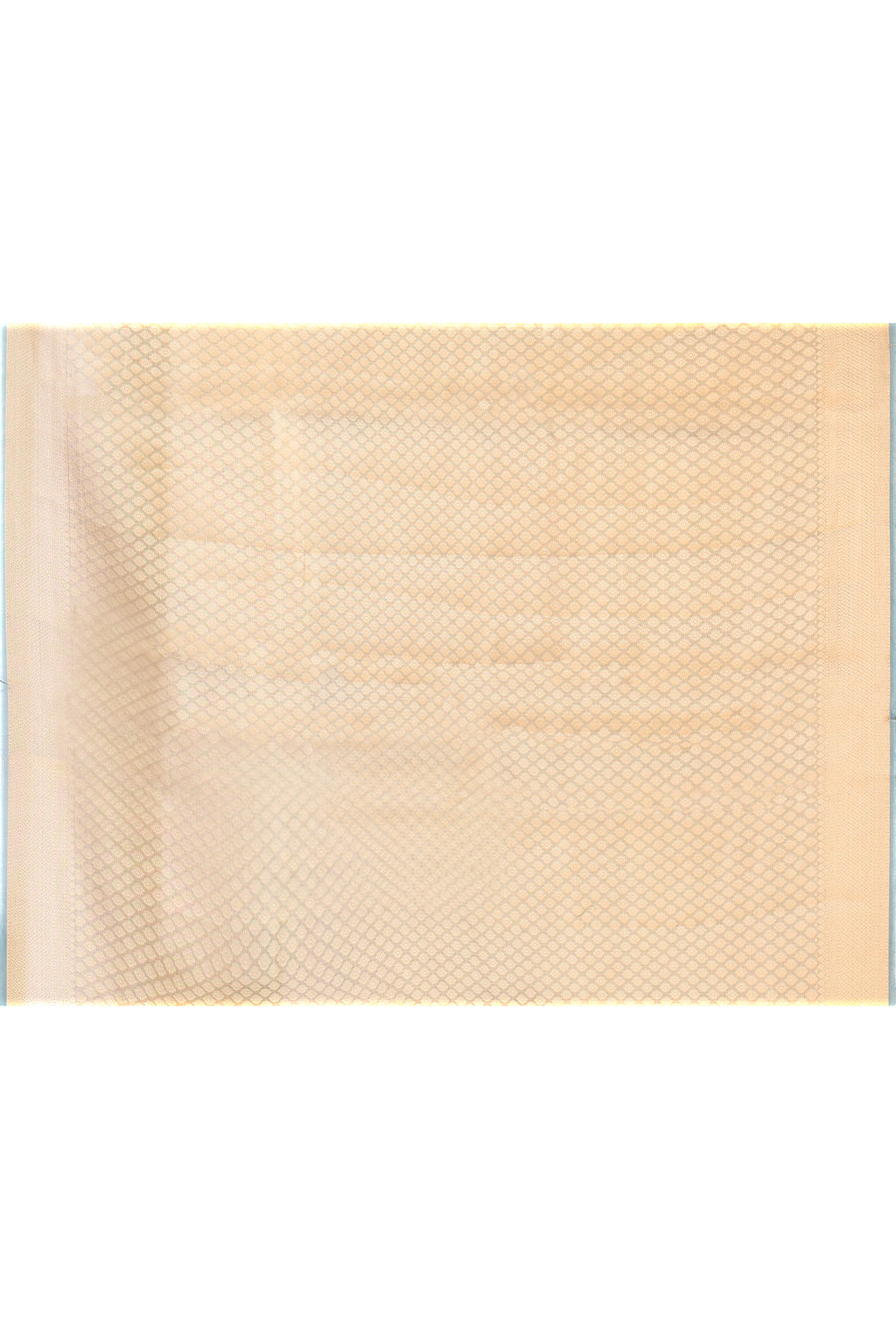 Grey Pure Tissue Silk Saree