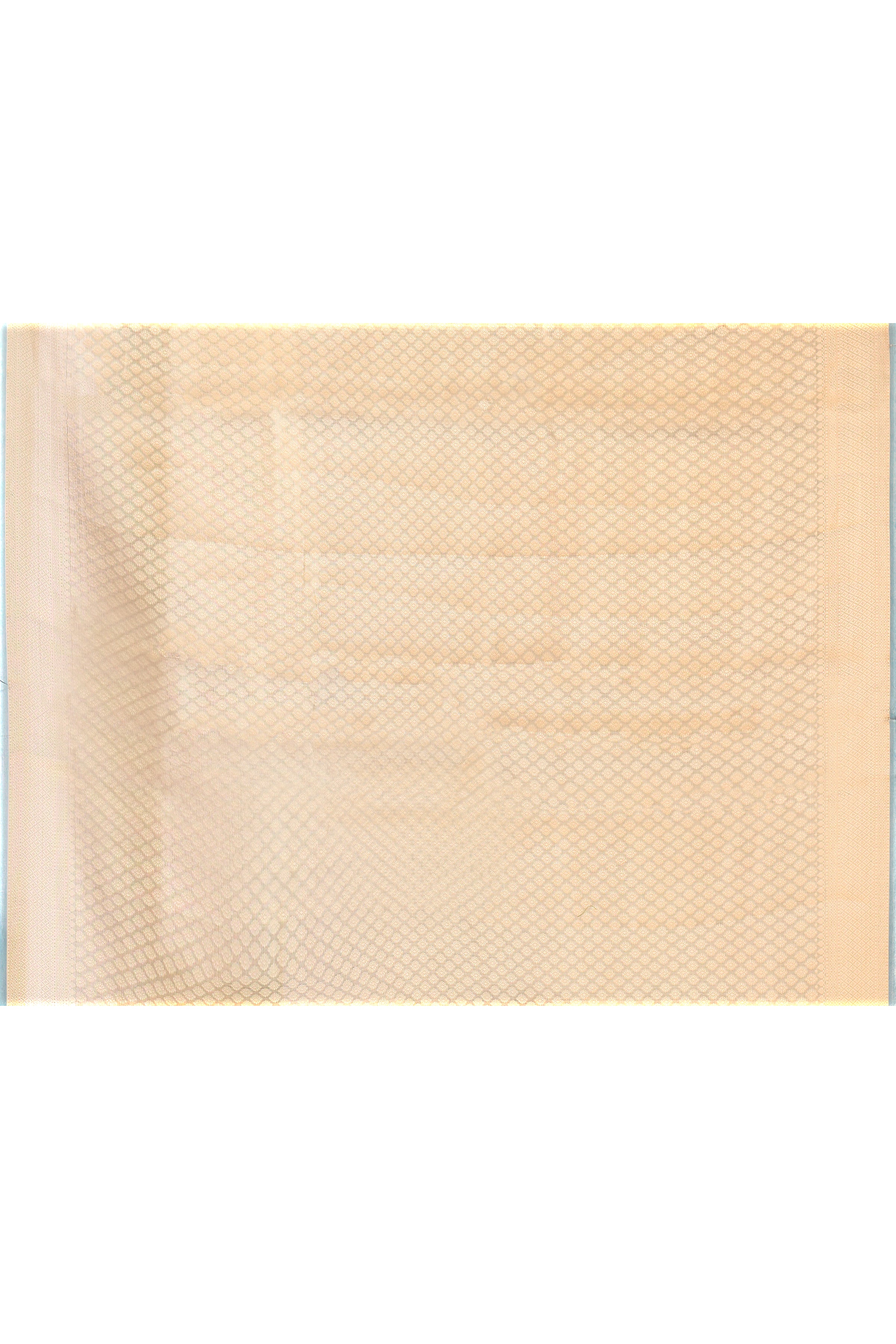 Grey Pure Tissue Silk Saree