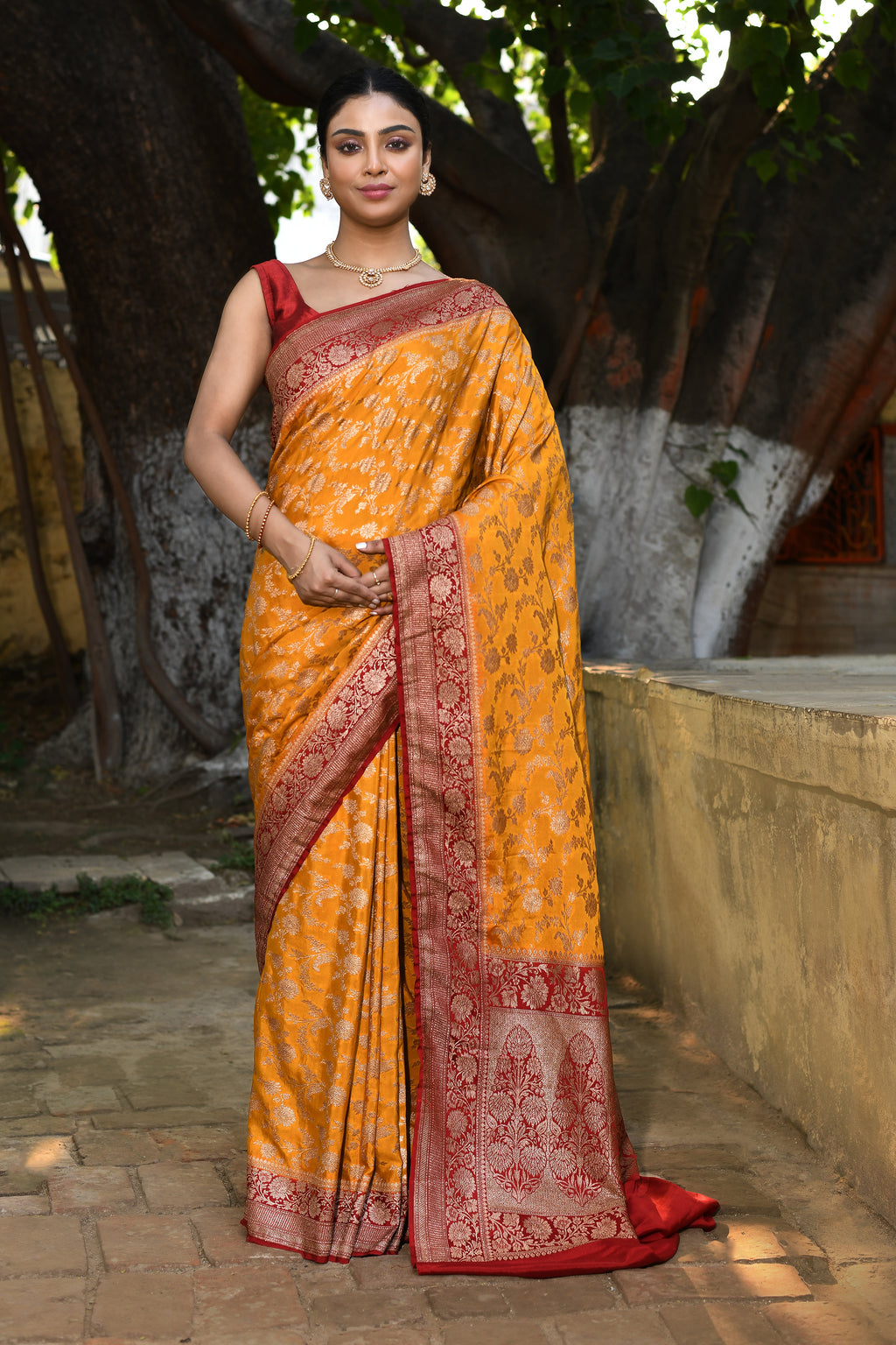 Mustard Yellow Banarasi Crape Chiffon Silk Saree