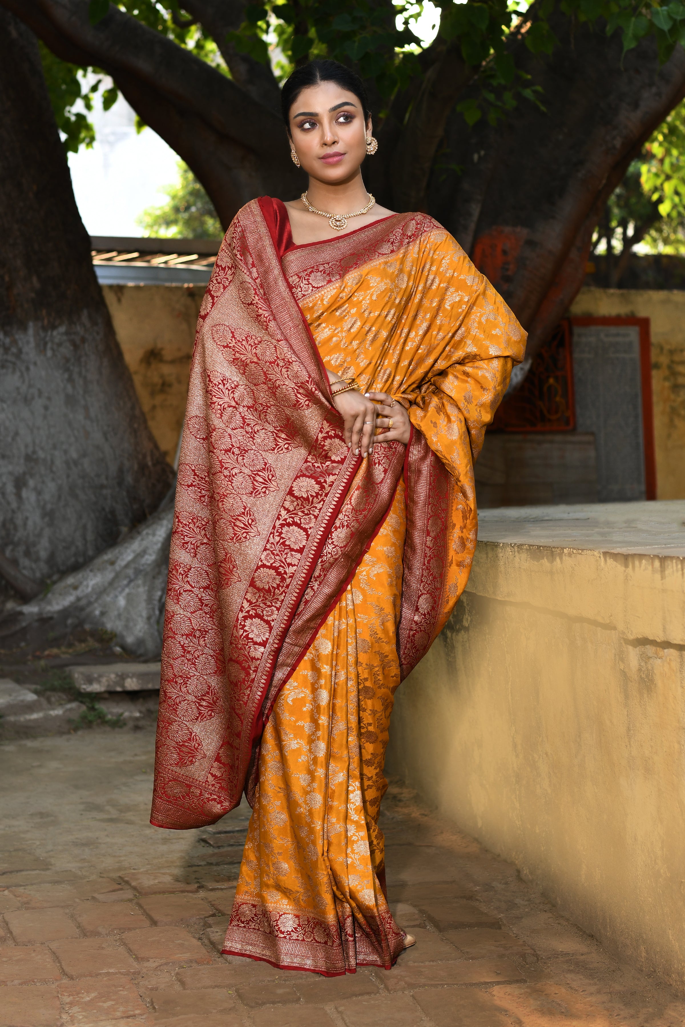 Mustard Yellow Banarasi Crape Chiffon Silk Saree