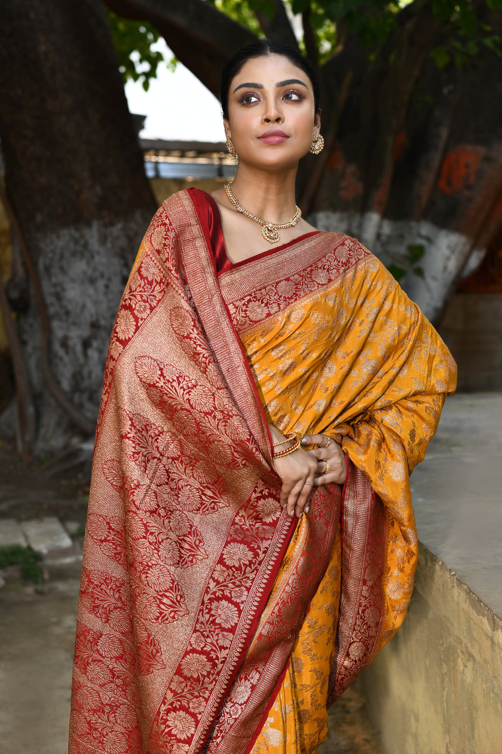 Mustard Yellow Banarasi Crape Chiffon Silk Saree