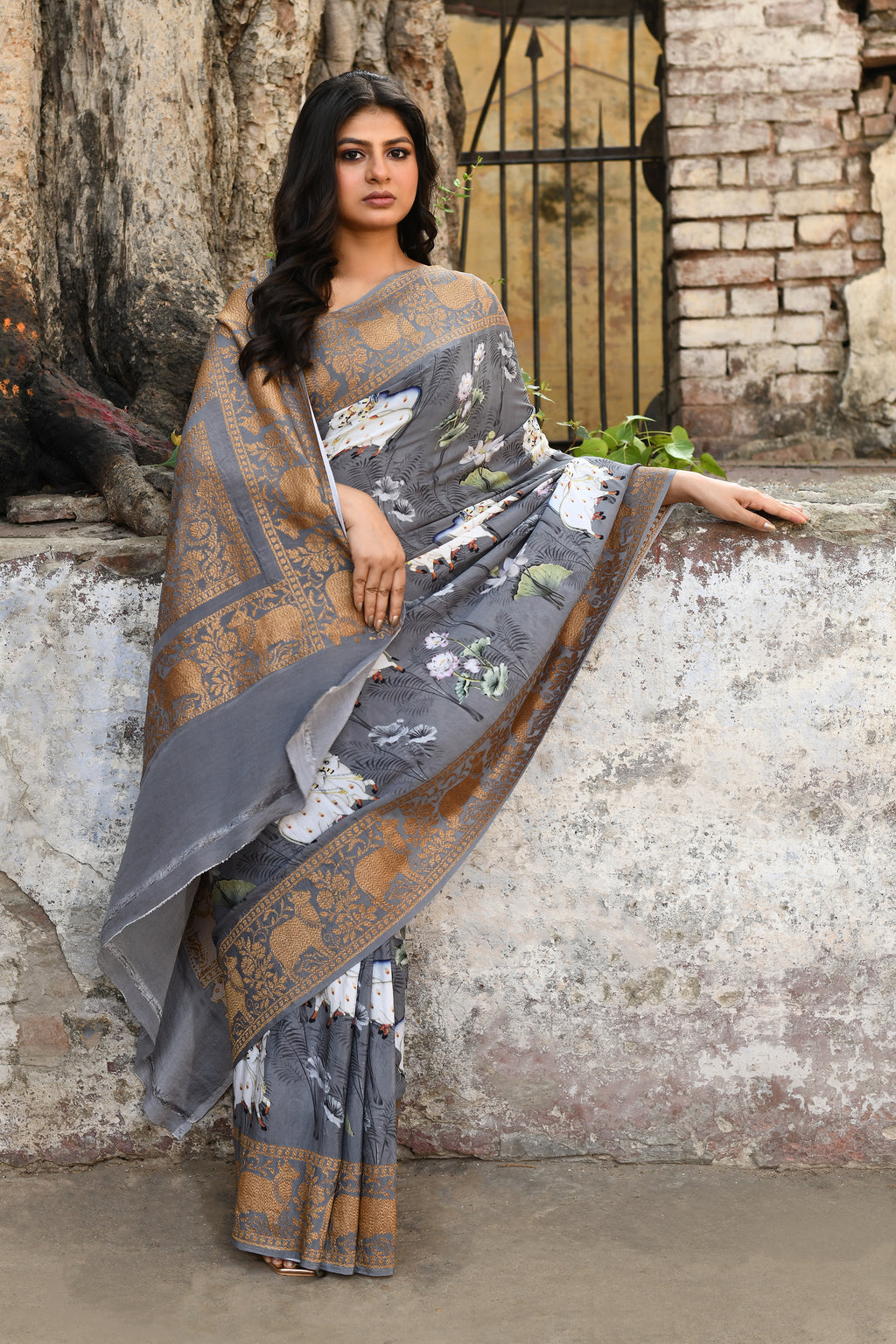 Banarasi Printed Chiffon Silk Saree