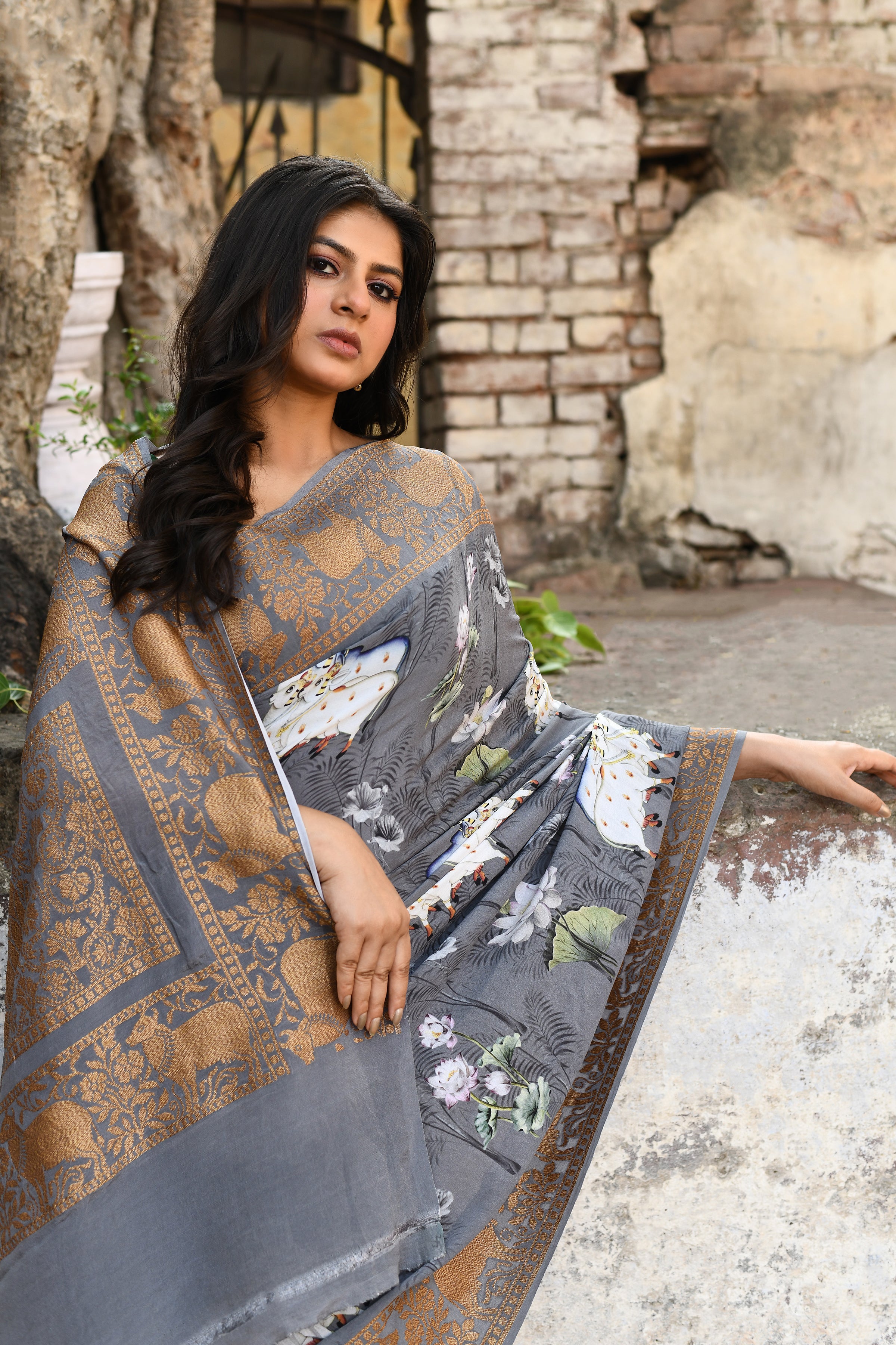 Banarasi Printed Chiffon Silk Saree
