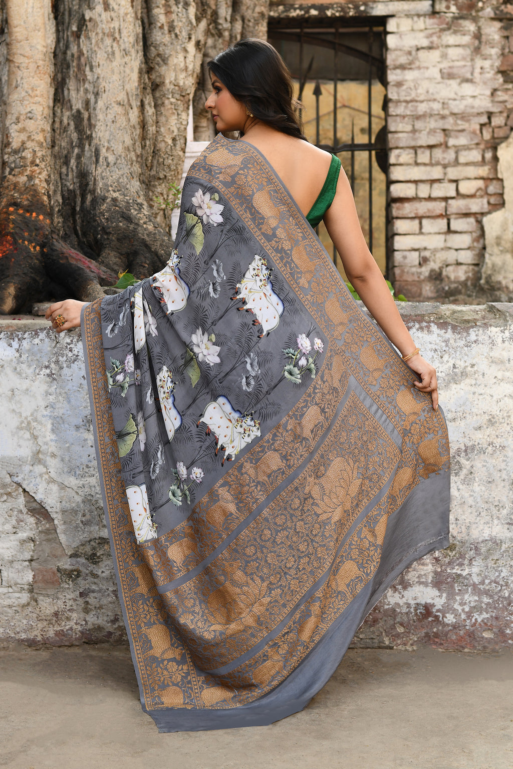 Banarasi Printed Chiffon Silk Saree