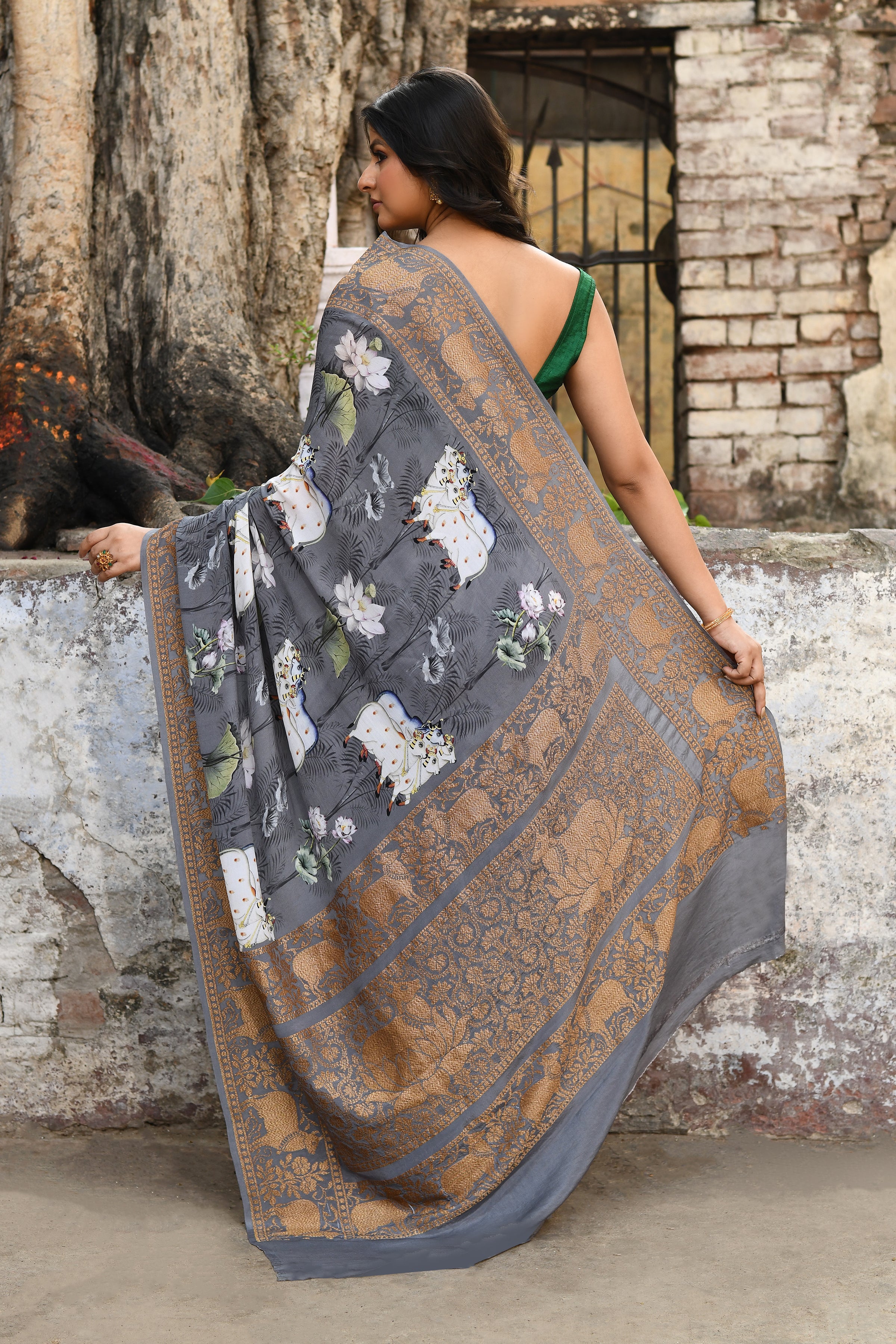 Banarasi Printed Chiffon Silk Saree
