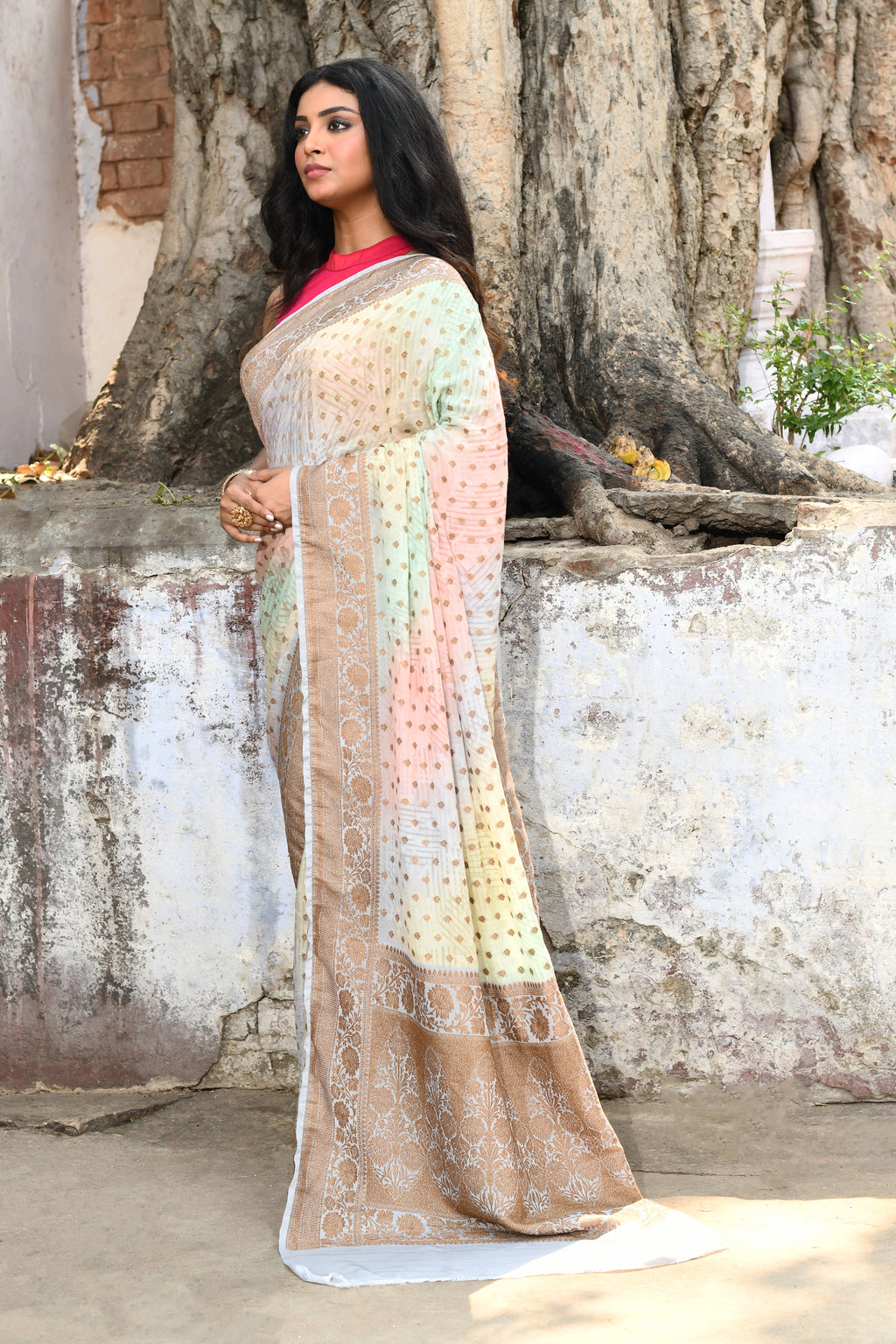 Shaded Pastel Banarasi Chiffon Crape Silk Saree
