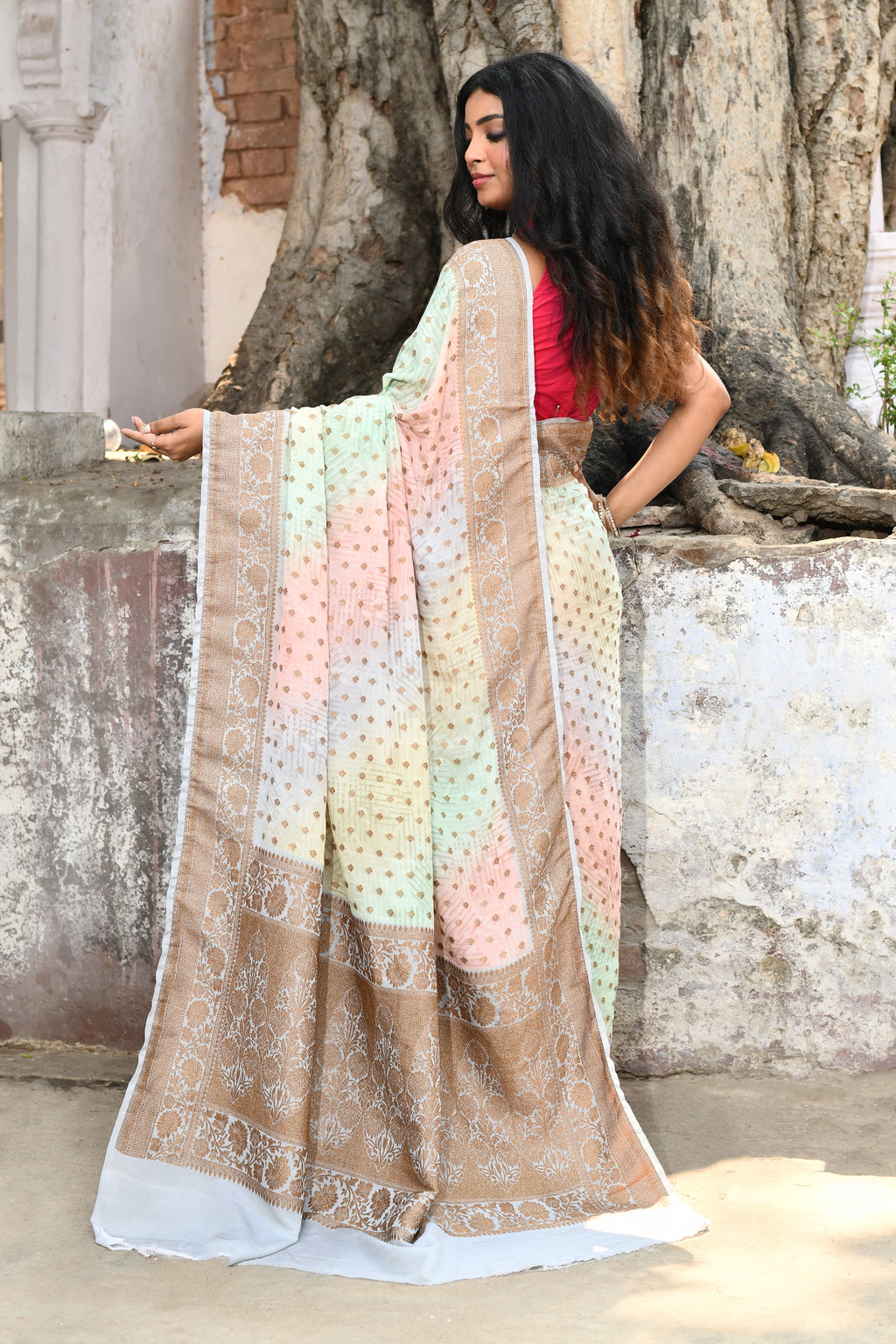 Shaded Pastel Banarasi Chiffon Crape Silk Saree
