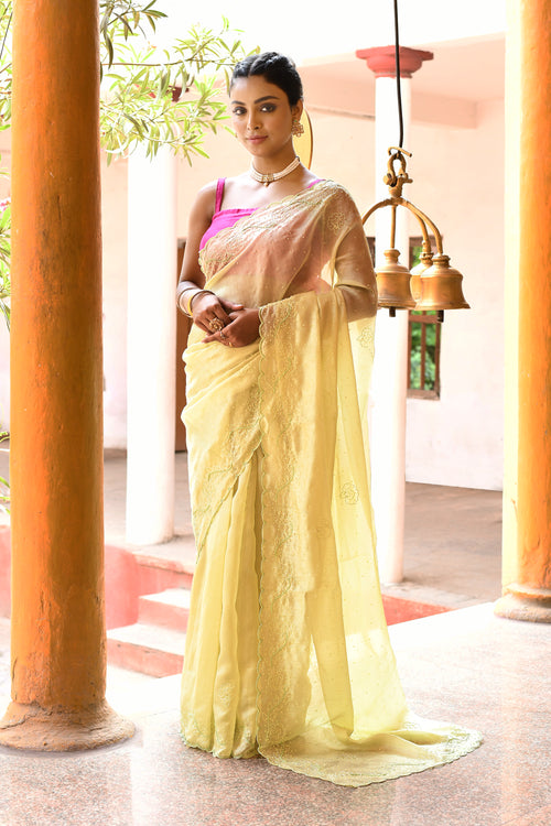 Elegant Lightweight Lemon Green Tissue Saree