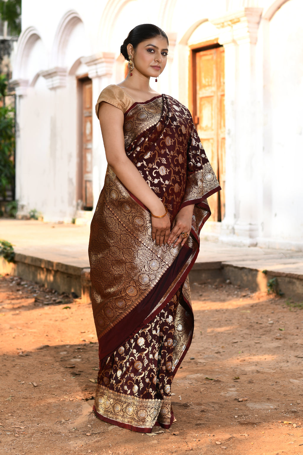Handwoven Coffee Banarasi Soft Silk Saree