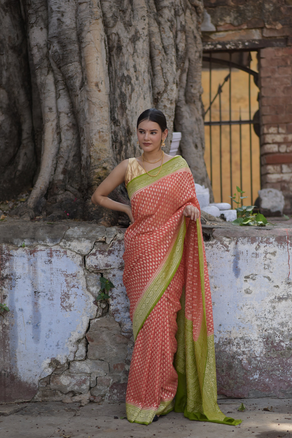 Georgia Pink Khaddi Chiffon Handwoven Banarasi Saree