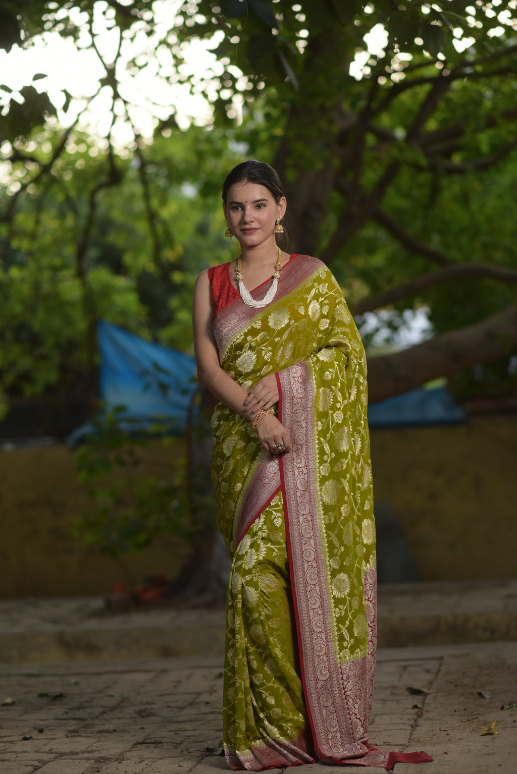 Apple Green Khaddi Chiffon Handwoven Banarasi Saree
