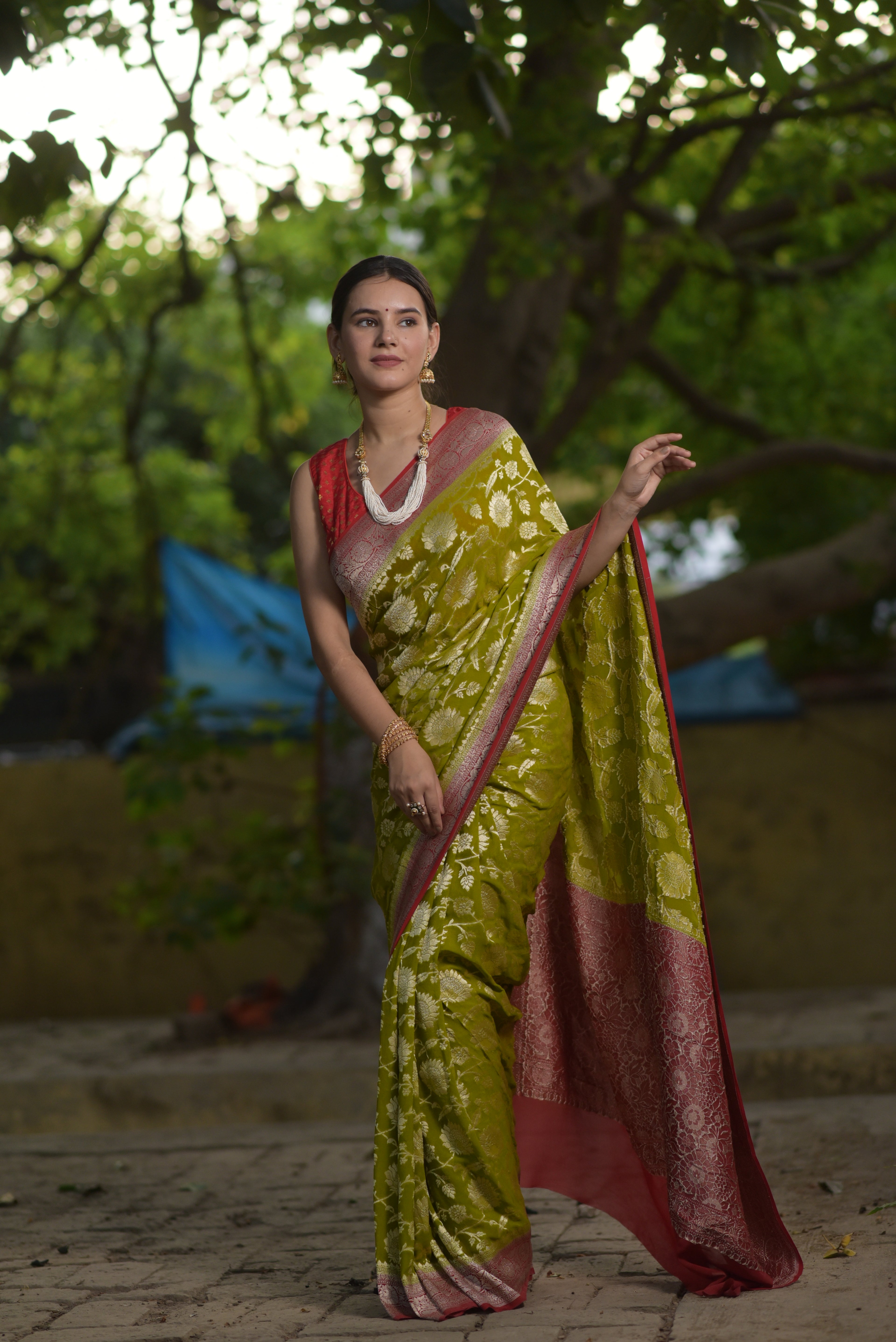 Apple Green Khaddi Chiffon Handwoven Banarasi Saree