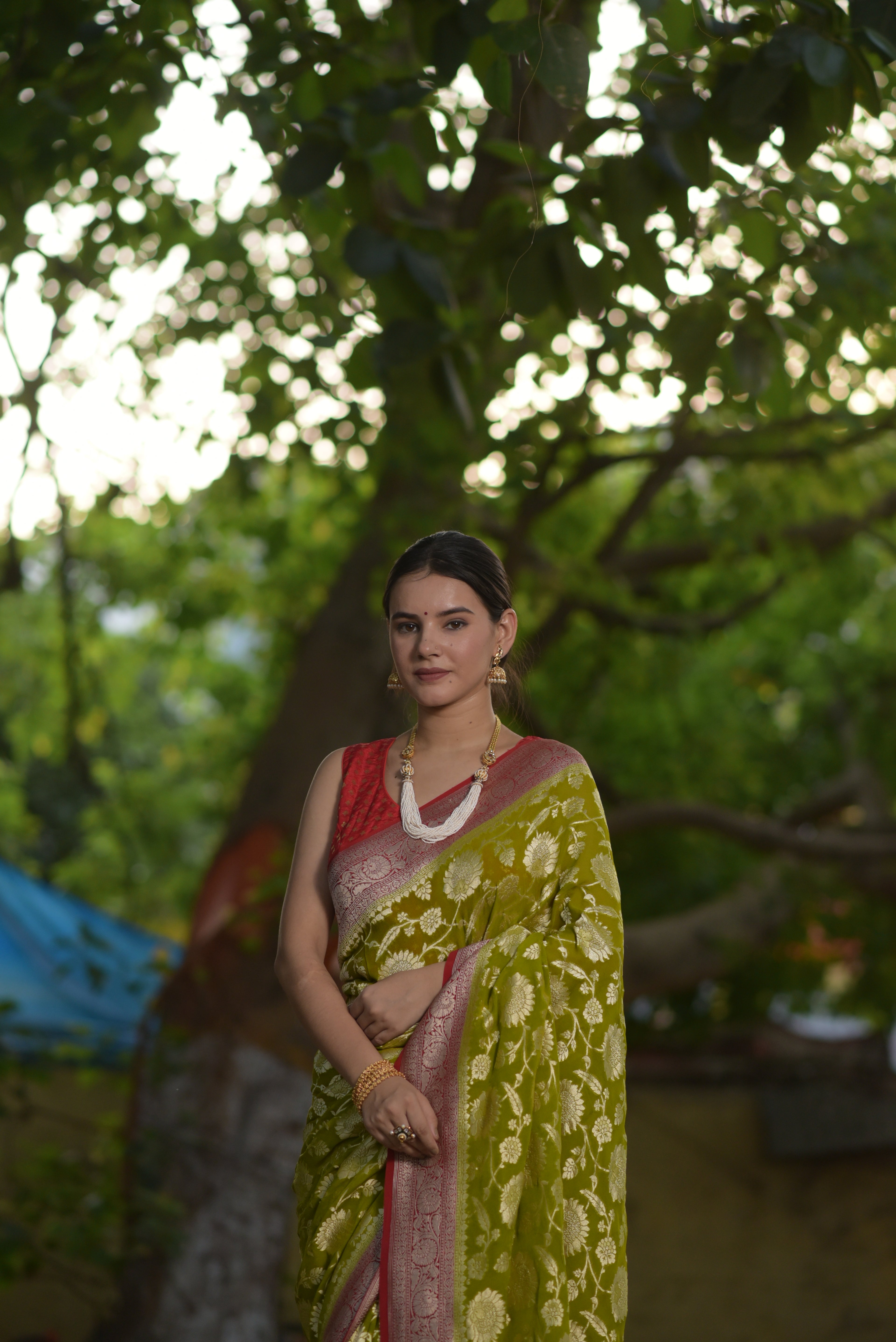 Apple Green Khaddi Chiffon Handwoven Banarasi Saree